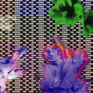 VARIOUS ARTISTS - WEAPONISE YOUR SOUND