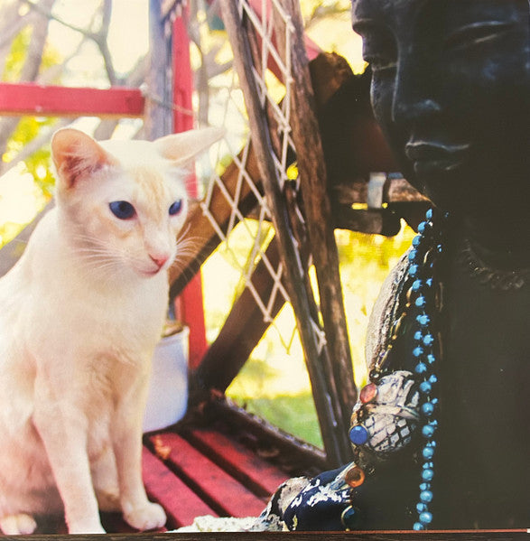 CEVIN KEY - MUSIC FOR CATS (2LP)