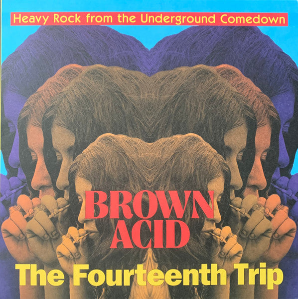 VARIOUS ARTISTS - BROWN ACID: THE FOURTEENTH TRIP
