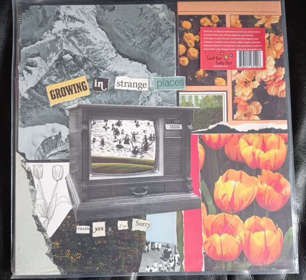 THANK YOU, I'M SORRY - GROWING IN STRANGE PLACES (ORANGE CRUSH VINYL)
