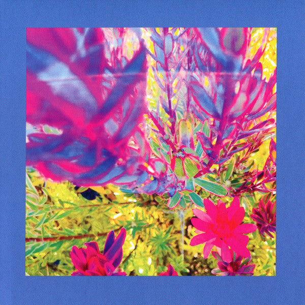 REDS, PINKS & PURPLES - PAST IS A GARDEN I NEVER FED