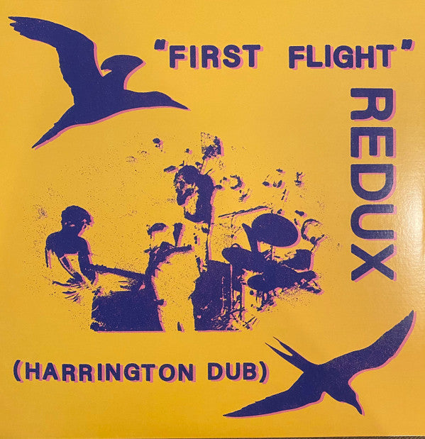 FORSYTH,CHRIS - FIRST FLIGHT REDUX (HARRINGTON DUB)