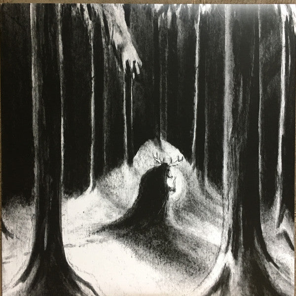 HAVUKRUUNU - HAVULINNAAN