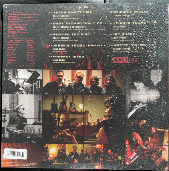 VARIOUS ARTISTS - CHASING WHISKEY (PURPLE BLEND VINYL)