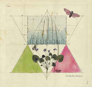 WAY DOWN WANDERERS - ILLUSIONS (CLEAR VINYL)