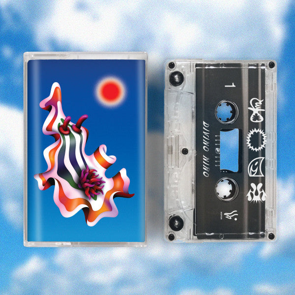 DIVINO NNO - FOAM