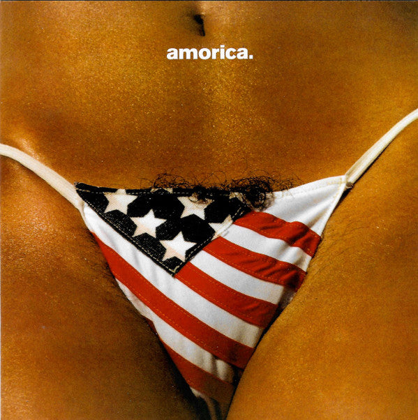 BLACK CROWES - AMORICA.