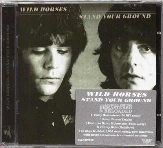 WILD HORSES - STAND YOUR GROUND