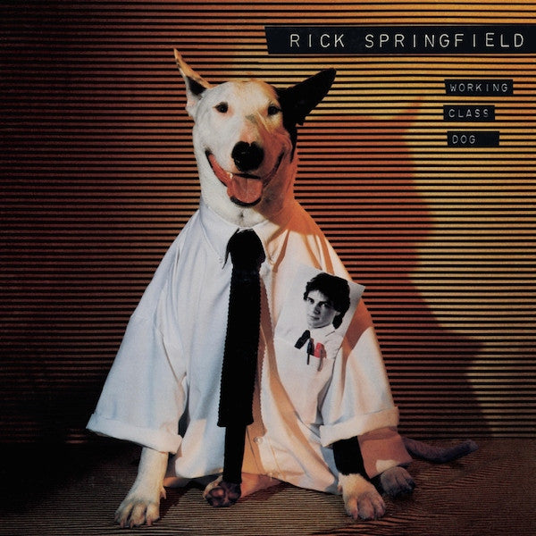 SPRINGFIELD,RICK - WORKING CLASS DOG