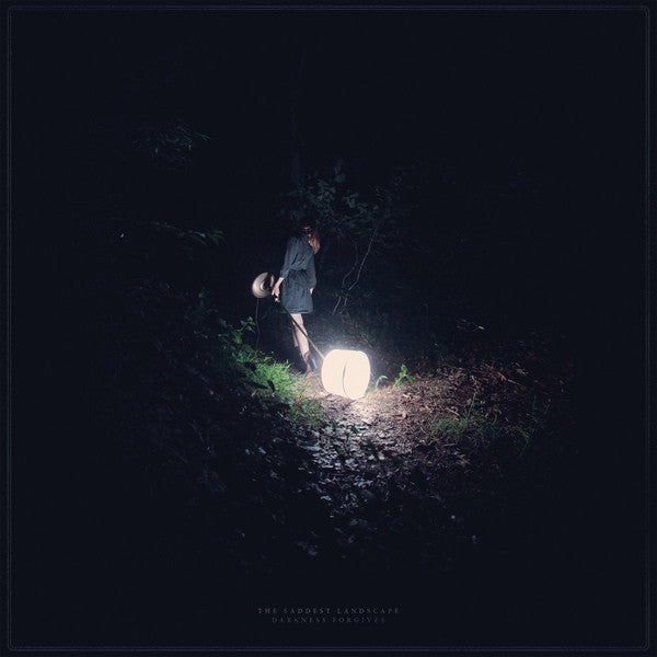 SADDEST LANDSCAPE - DARKNESS FORGIVES