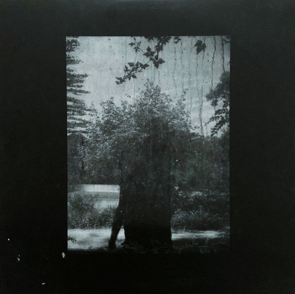 GROUPER - RUINS