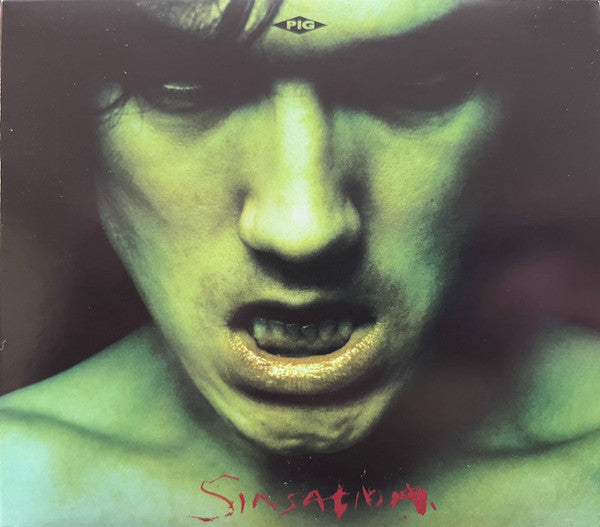 PIG - SINSATION
