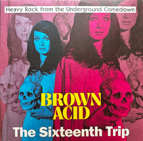 VARIOUS ARTISTS - BROWN ACID - THE SIXTEENTH TRIP