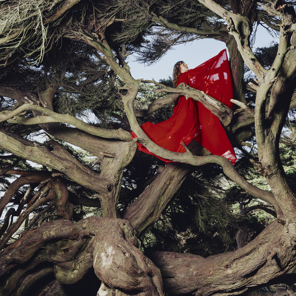 FRANCES HANNAH - NESTED IN TANGLES