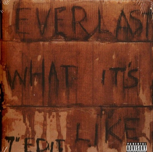 EVERLAST - WHAT IT'S LIKE/ENDS