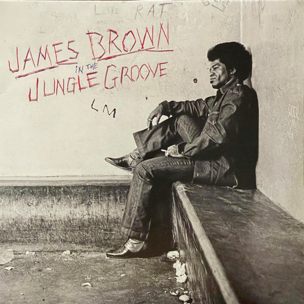 BROWN,JAMES - IN THE JUNGLE GROOVE