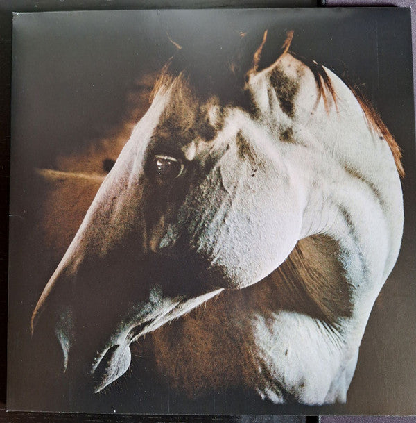 BROTHER DEGE - HOW TO KILL A HORSE