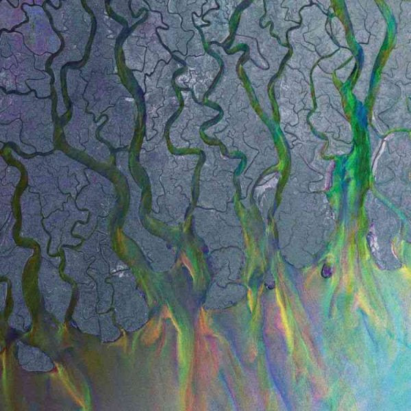 Alt-j An Awesome Wave