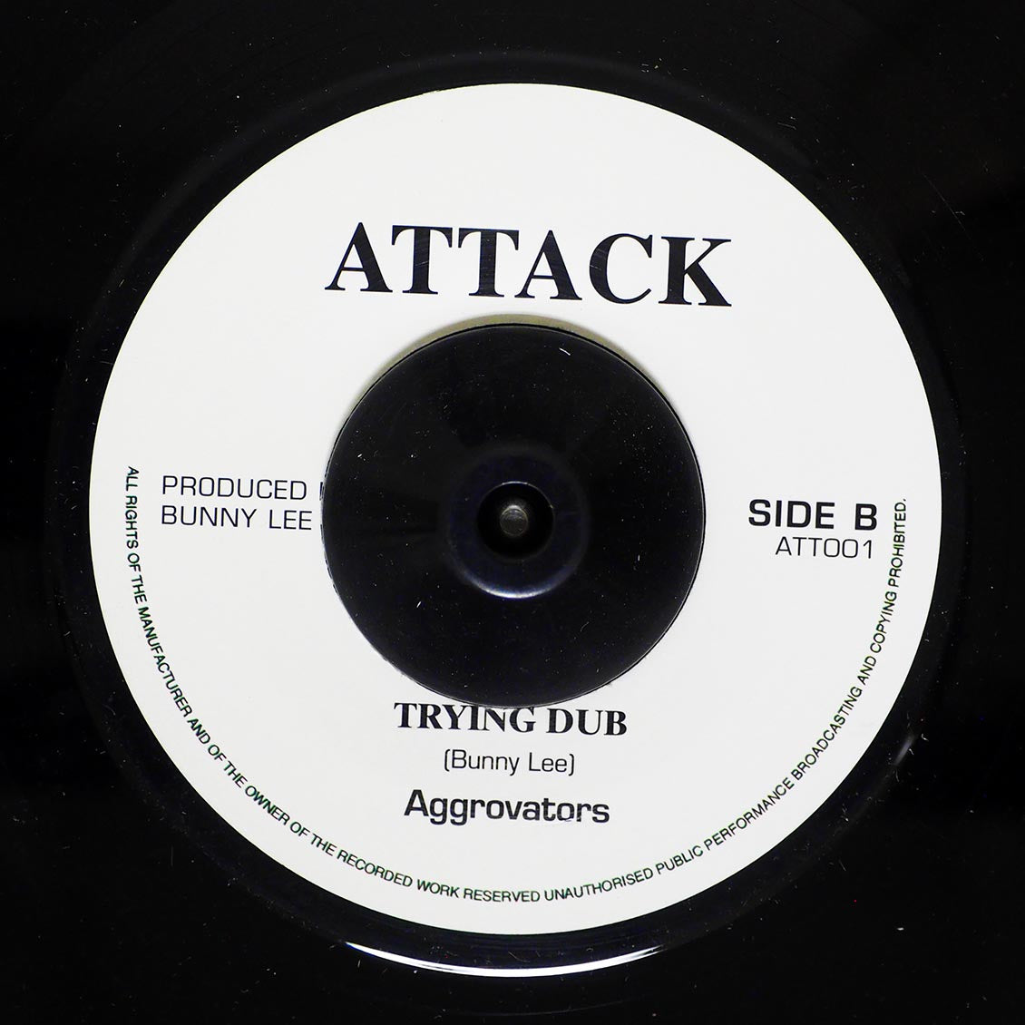 Barry Brown - Trying Youth Man / The Aggrovators - Version product image 2