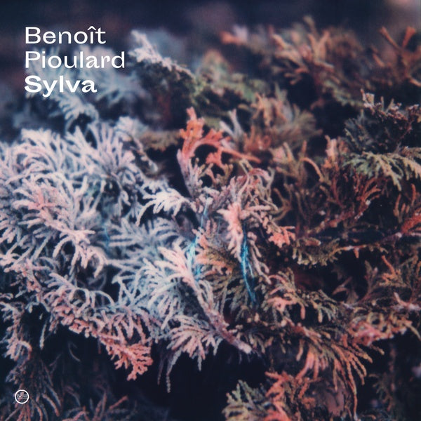 BENOIT PIOULARD Sylva