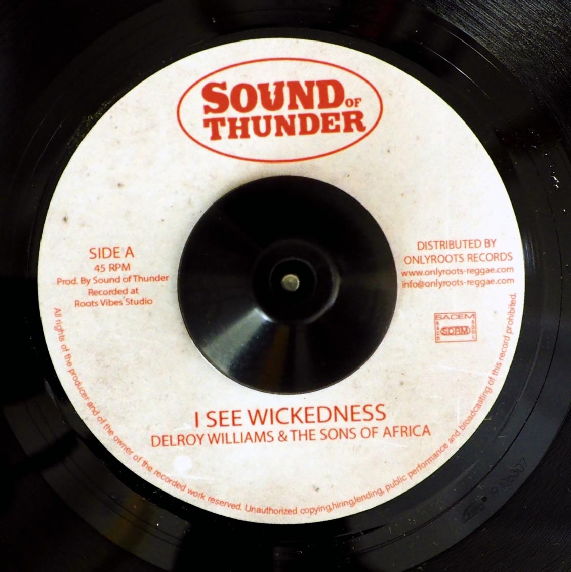 Delroy Williams & The Sons Of Africa - I See Wickedness / Mr. Haze & The Sons Of Africa - Wisest Dub product cover