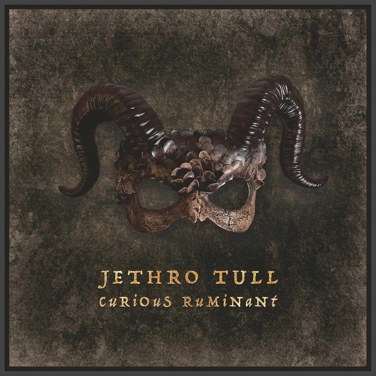 Jethro Tull - Curious Ruminant - Music & Performance - CD product cover