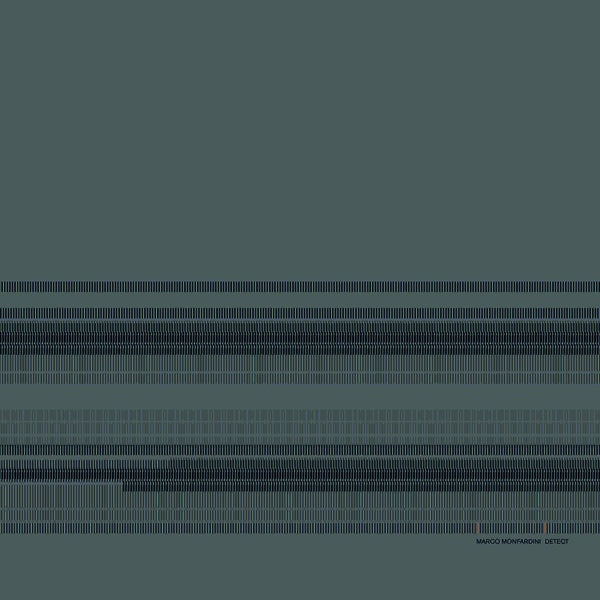 MARCO MONFARDINI Detect