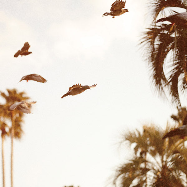 MOTOHIKO HAMASE Intaglio