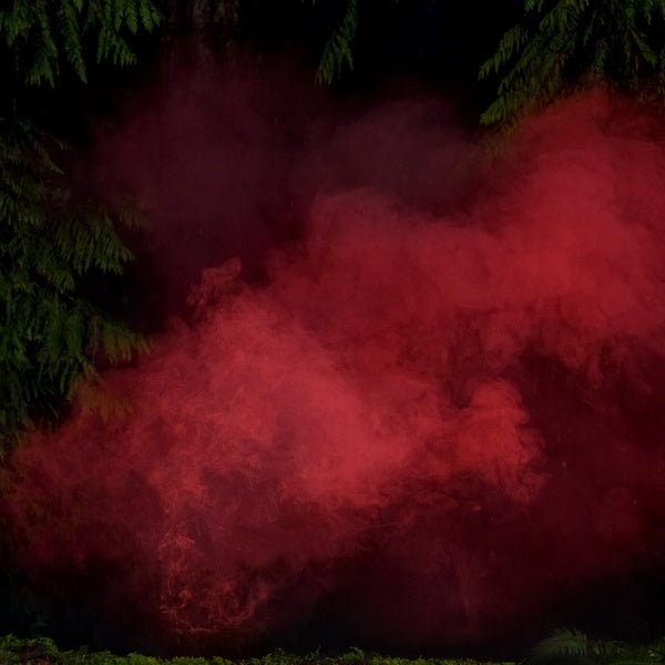 P.A. HULSENBECK & MICHAEL SCHONHEIT Reaping From The Conflux