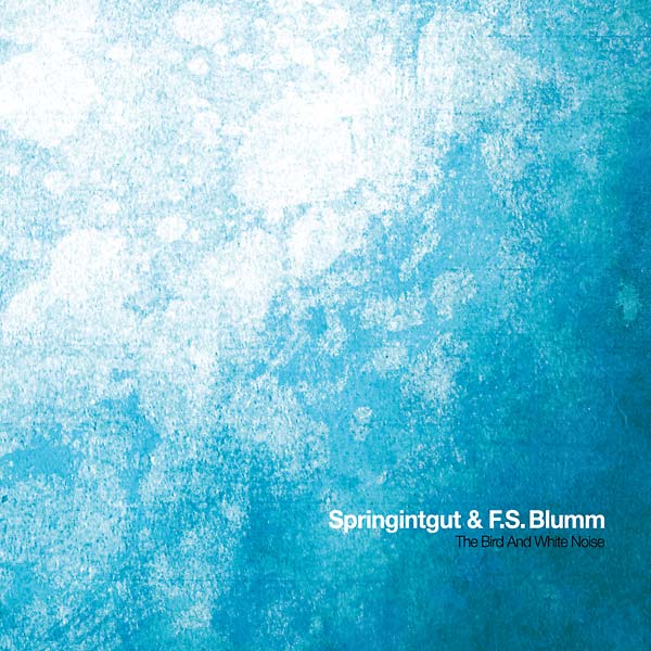 SPRINGINTGUT & F.S. BLUMM The Bird and White Noise