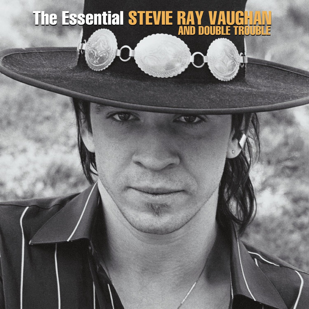 Stevie Ray Vaughan and Double Trouble - The Essential 2LP 12" Vinyl Record - NEW product cover