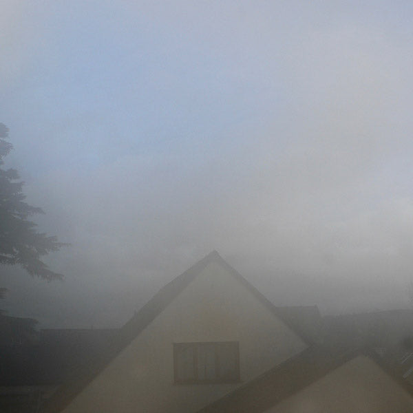 THIS IS WHERE This Is Where