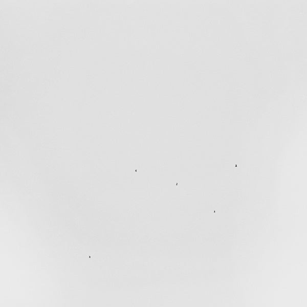 TODD ANDERSON-KUNERT Conjectures