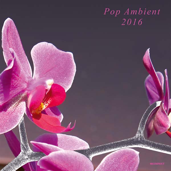 Va Pop Ambient 2016