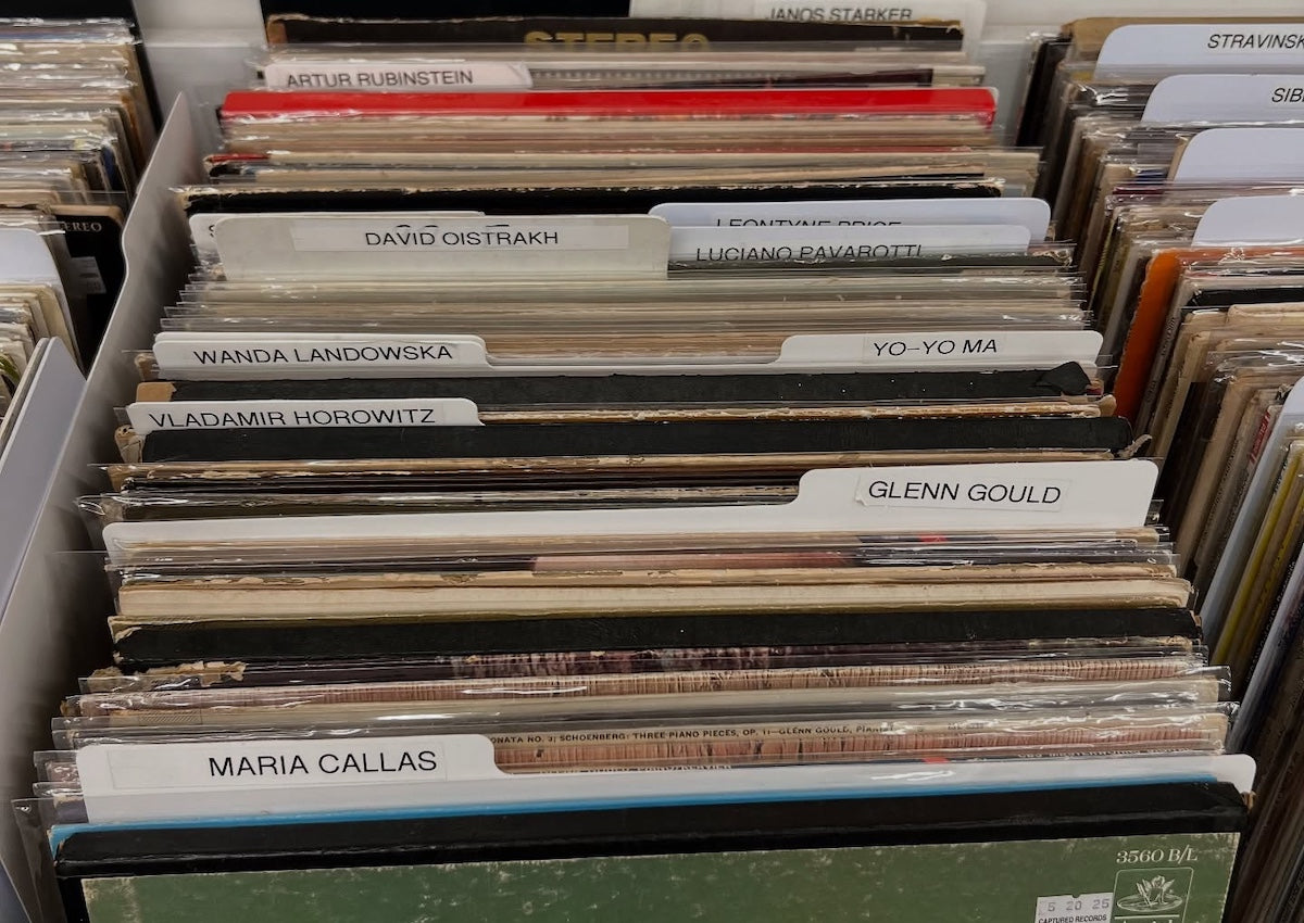 A Symphony of Sound, Art, and Nostalgia