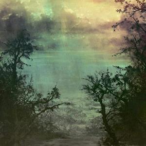 COLTSBLOOD & UN - SPLIT