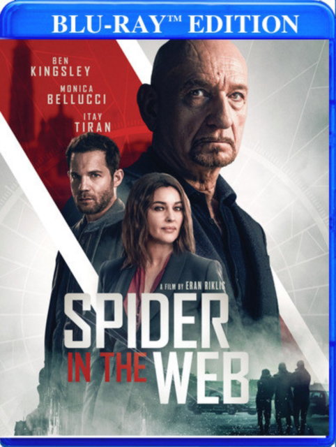SPIDER IN THE WEB