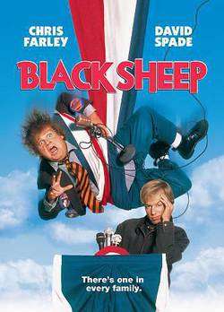 BLACK SHEEP