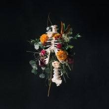 Elevation Worship - Graves Into Gardens