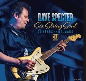 SPECTER,DAVE - SIX STRING SOUL (2LP)