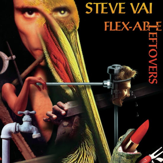 VAI,STEVE - FLEXABLE