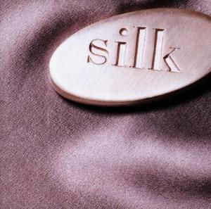 SILK - SILK ( I CAN GO DEEP)