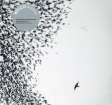 Wilco - Sky Blue Sky