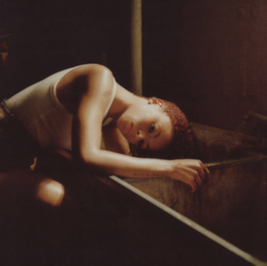 LENAE RAVYN - BIRDS EYE