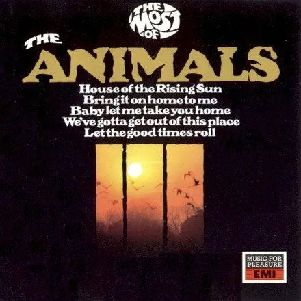 ANIMALS - MOST OF THE ANIMALS