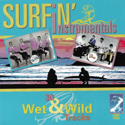 VARIOUS ARTISTS - SURFIN' INSTRUMENTALS