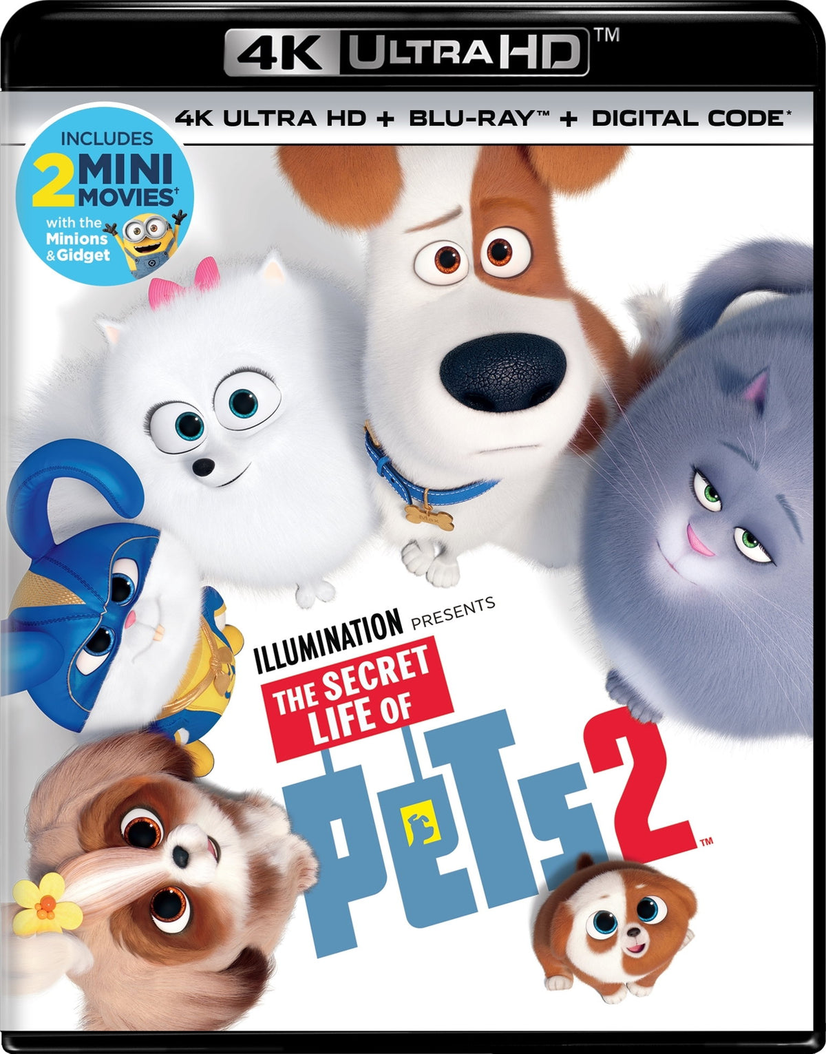 SECRET LIFE OF PETS 2 (4K ULTRA HD/BLU-RAY/DIGITAL) - SECRET LIFE OF PETS 2 (4K ULTRA HD/BLU-RAY/DIGITAL)