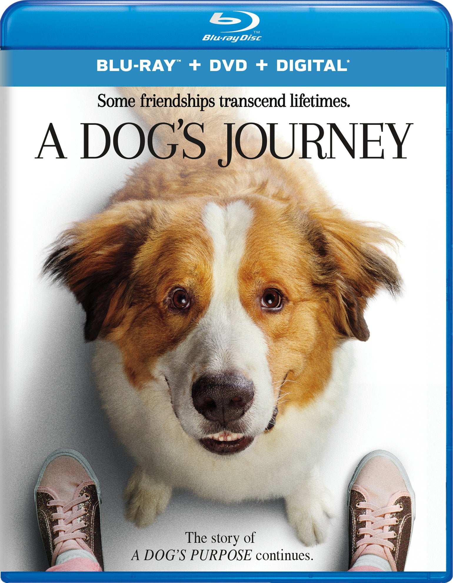 DOG'S JOURNEY (BLU-RAY/DVD/DIGITAL) - DOG'S JOURNEY (BLU-RAY/DVD/DIGITAL)