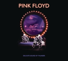 Pink Floyd - Delicate Sound Of Thunder (2cd)