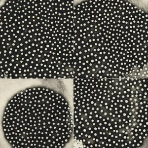 K. LEIMER - PROXIMATE FORMS